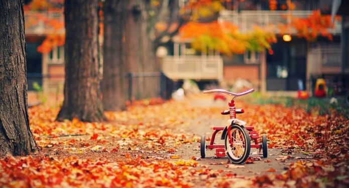 tricycle ride…