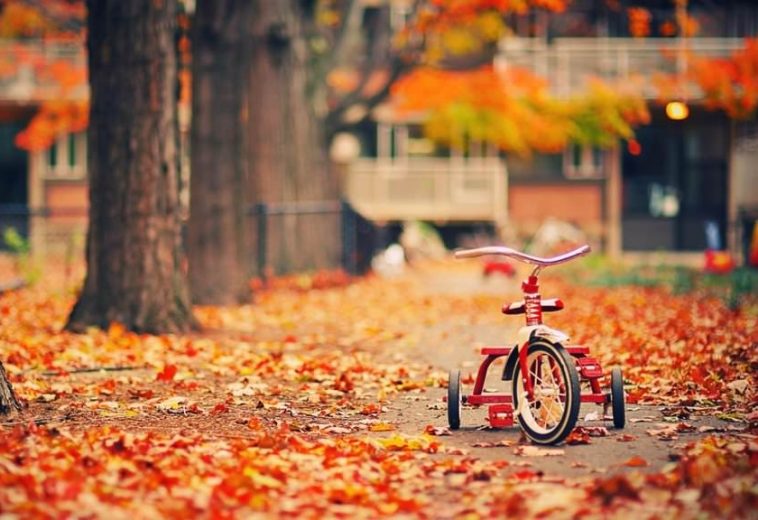 tricycle ride…