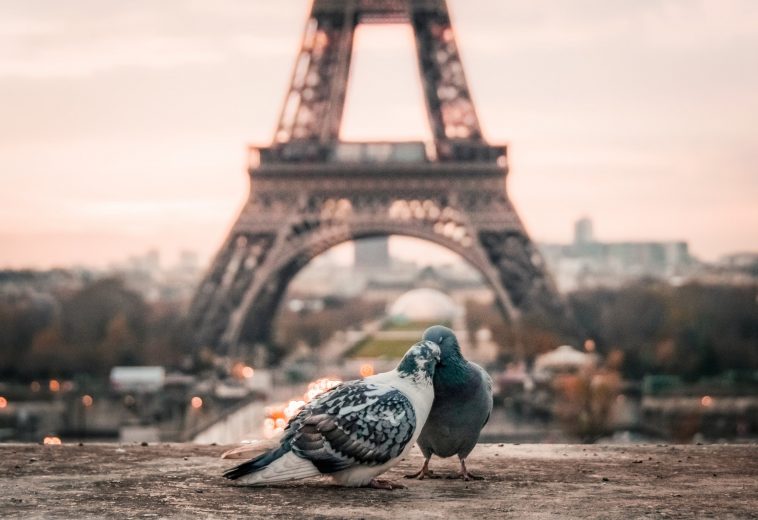 At the banks of Seine (Part 1)